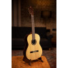 Ortega R158 Performer Series 4/4 Classical Guitar 6-String - Natural + Gig Bag