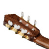 Ortega R159 Performer Series 4/4 Classical Guitar 6-String - Natural + Gig Bag