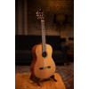 Ortega R159 Performer Series 4/4 Classical Guitar 6-String - Natural + Gig Bag