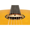 Ortega R170F Family Series Pro 4/4 Classical Guitar 6 String - Solid North American Spruce + Gig Bag
