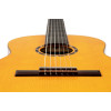 Ortega R170F Family Series Pro 4/4 Classical Guitar 6 String - Solid North American Spruce + Gig Bag