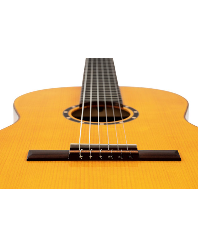 Ortega R170F Family Series Pro 4/4 Classical Guitar 6 String - Solid North American Spruce + Gig Bag