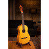 Ortega R170F Family Series Pro 4/4 Classical Guitar 6 String - Solid North American Spruce + Gig Bag