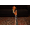 Ortega R170F Family Series Pro 4/4 Classical Guitar 6 String - Solid North American Spruce + Gig Bag