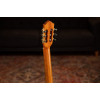 Ortega R170F Family Series Pro 4/4 Classical Guitar 6 String - Solid North American Spruce + Gig Bag