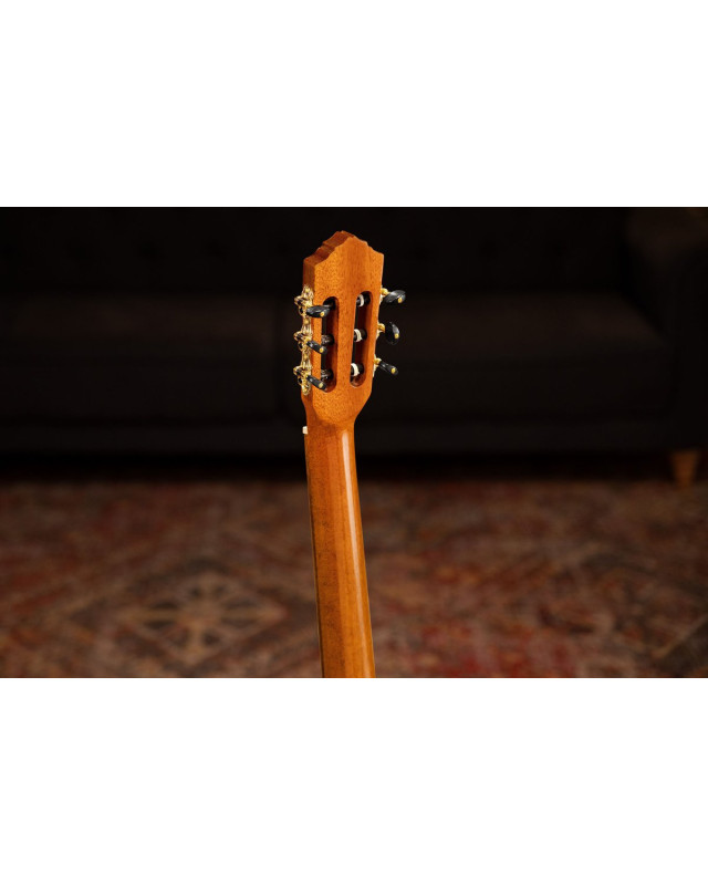 Ortega R170F Family Series Pro 4/4 Classical Guitar 6 String - Solid North American Spruce + Gig Bag