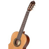 Ortega R18G Traditional Series 4/4 Nylon String Guitar 6-String + Pro Gig Bag