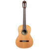 Ortega R18G Traditional Series 4/4 Nylon String Guitar 6-String + Pro Gig Bag