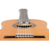 Ortega R18G Traditional Series 4/4 Nylon String Guitar 6-String + Pro Gig Bag