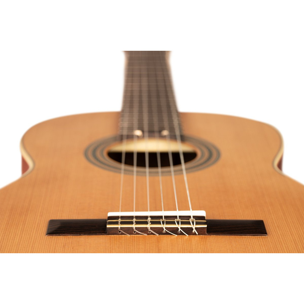 Ortega R18S-L Traditional Series 4/4 size Nylon String Guitar 6-String, lefthanded + Pro Gig Bag