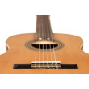 Ortega R18S-L Traditional Series 4/4 size Nylon String Guitar 6-String, lefthanded + Pro Gig Bag