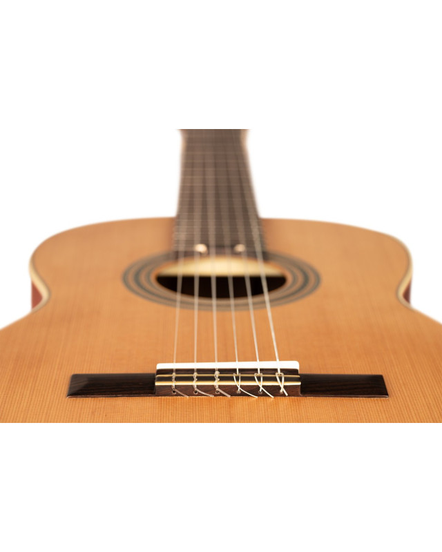 Ortega R18S-L Traditional Series 4/4 size Nylon String Guitar 6-String, lefthanded + Pro Gig Bag