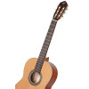 Ortega R18SSN Traditional Series 4/4 Nylon String Guitar 6-String - Satin + Pro Gig Bag