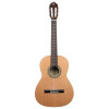 Ortega R18SSN Traditional Series 4/4 Nylon String Guitar 6-String - Satin + Pro Gig Bag