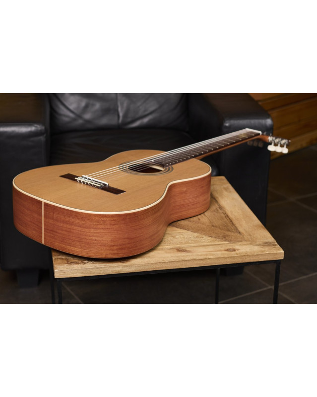 Ortega R18SSN Traditional Series 4/4 Nylon String Guitar 6-String - Satin + Pro Gig Bag