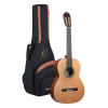 Ortega R18SSN Traditional Series 4/4 Nylon String Guitar 6-String - Satin + Pro Gig Bag