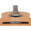 Ortega R18SSN Traditional Series 4/4 Nylon String Guitar 6-String - Satin + Pro Gig Bag