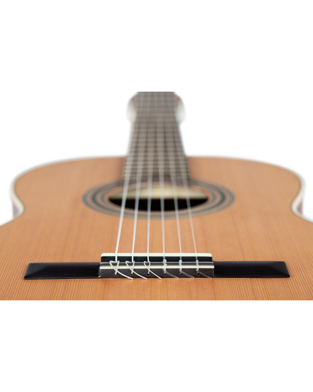 Ortega R18SSN Traditional Series 4/4 Nylon String Guitar 6-String - Satin + Pro Gig Bag