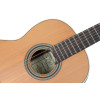Ortega R18SSN Traditional Series 4/4 Nylon String Guitar 6-String - Satin + Pro Gig Bag