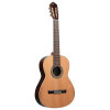 Ortega R19G Traditional Series 4/4 Nylon String Guitar 6-String + Pro Gig Bag