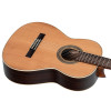 Ortega R19G Traditional Series 4/4 Nylon String Guitar 6-String + Pro Gig Bag