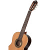 Ortega R19G Traditional Series 4/4 Nylon String Guitar 6-String + Pro Gig Bag