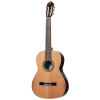 Ortega R19G Traditional Series 4/4 Nylon String Guitar 6-String + Pro Gig Bag
