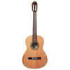 Ortega R19G Traditional Series 4/4 Nylon String Guitar 6-String + Pro Gig Bag