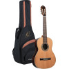 Ortega R19G Traditional Series 4/4 Nylon String Guitar 6-String + Pro Gig Bag