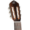 Ortega R19G Traditional Series 4/4 Nylon String Guitar 6-String + Pro Gig Bag