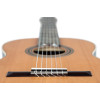 Ortega R19G Traditional Series 4/4 Nylon String Guitar 6-String + Pro Gig Bag