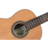 Ortega R19G Traditional Series 4/4 Nylon String Guitar 6-String + Pro Gig Bag