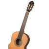 Ortega R19S Traditional Series 4/4 Nylon String Guitar 6-String + Pro Gig Bag