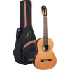 Ortega R19S Traditional Series 4/4 Nylon String Guitar 6-String + Pro Gig Bag