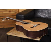Ortega R19S Traditional Series 4/4 Nylon String Guitar 6-String + Pro Gig Bag