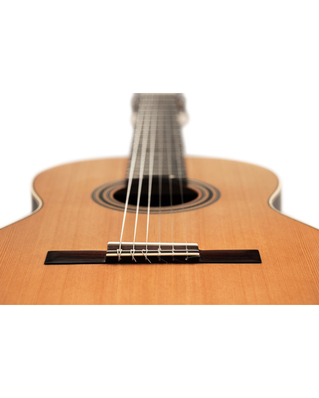 Ortega R19S Traditional Series 4/4 Nylon String Guitar 6-String + Pro Gig Bag