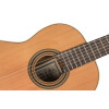 Ortega R19S Traditional Series 4/4 Nylon String Guitar 6-String + Pro Gig Bag