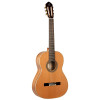 Ortega R20GRG Traditional Series 4/4 Nylon String Guitar 6-String + Pro Gig Bag