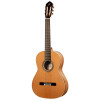 Ortega R20GRG Traditional Series 4/4 Nylon String Guitar 6-String + Pro Gig Bag