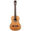 Ortega R20GRG Traditional Series 4/4 Nylon String Guitar 6-String + Pro Gig Bag