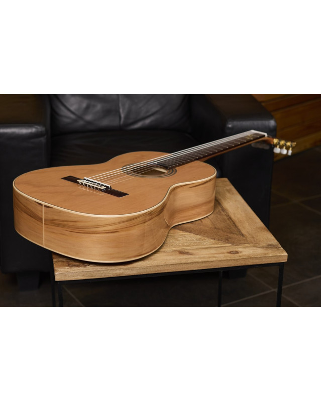 Ortega R20GRG Traditional Series 4/4 Nylon String Guitar 6-String + Pro Gig Bag