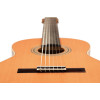 Ortega R20GRG Traditional Series 4/4 Nylon String Guitar 6-String + Pro Gig Bag