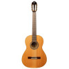Ortega R20GRG-L Traditional Series 4/4 Nylon String Guitar 6-String + Pro Gig Bag