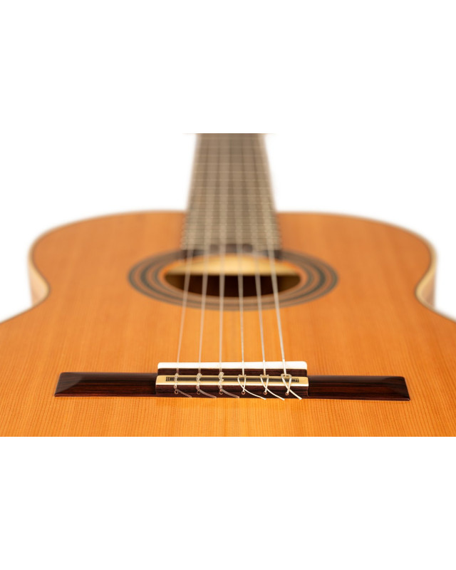 Ortega R20GRG-L Traditional Series 4/4 Nylon String Guitar 6-String + Pro Gig Bag