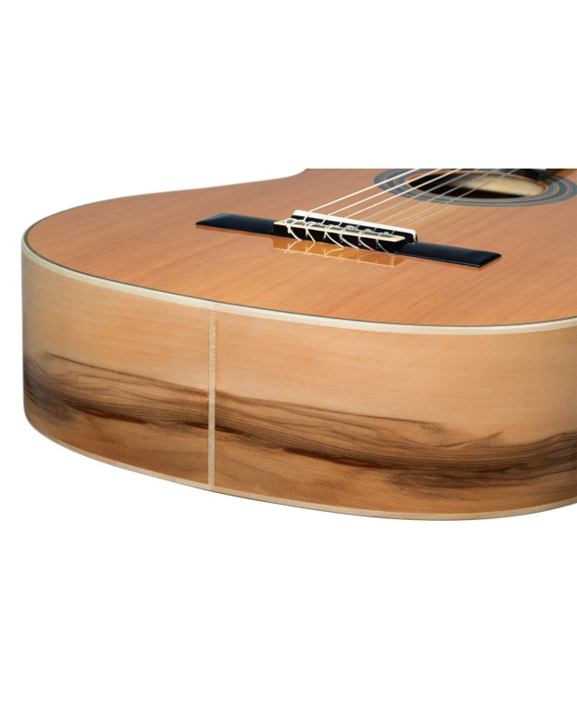 Ortega R20GSNRG Traditional Series 4/4 Nylon String Guitar 6-String + Pro Gig Bag