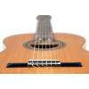 Ortega R20GSNRG Traditional Series 4/4 Nylon String Guitar 6-String + Pro Gig Bag