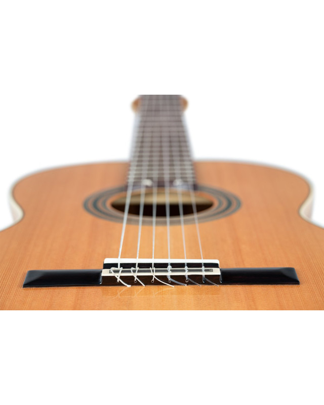 Ortega R20GSNRG Traditional Series 4/4 Nylon String Guitar 6-String + Pro Gig Bag