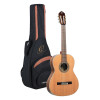 Ortega R20GSNWN Traditional Series 4/4 Nylon String Guitar 6-String + Pro Gig Bag