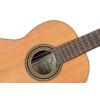 Ortega R20GSNWN Traditional Series 4/4 Nylon String Guitar 6-String + Pro Gig Bag