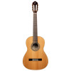 Ortega R20GWN Traditional Series 4/4 size Nylon String Guitar 6-String + Pro Gig Bag
